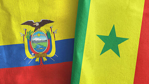 پیش بینی بازی سنگال و اکوادور در جام جهانی 2022
